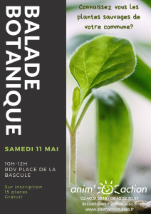 balade botanique
